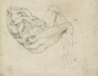 Studie einer liegenden männlichen Figur, recto